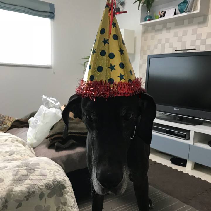 8dc52c30 0ab7 4630 ad22 d174d358974d 1510178971739