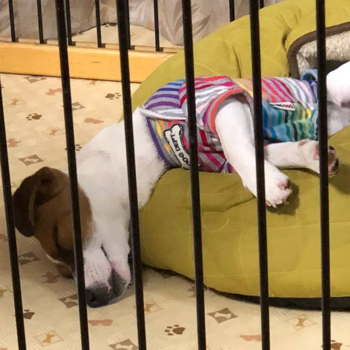 8dc57065 d929 4c0f 9971 658eab3621f1 1523357713578