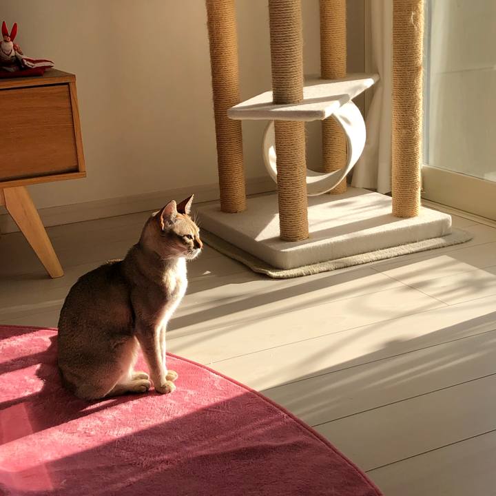 8dc5ba7c d519 4c48 8672 ff9de501cc3e 1549174455696