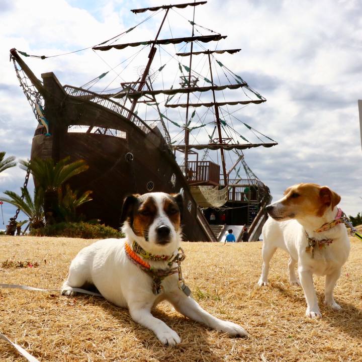 8dc5ca00 64e4 4796 8753 8c9400e07395 1549775221858