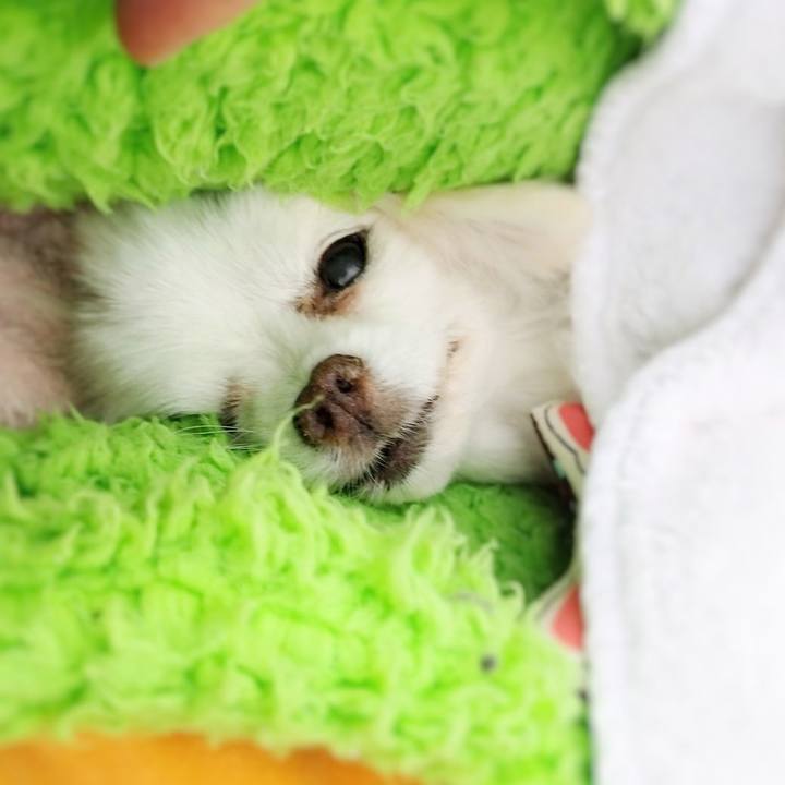 8dc5f1bf 8cd2 4302 963f de6636c93ebc 1688163769206