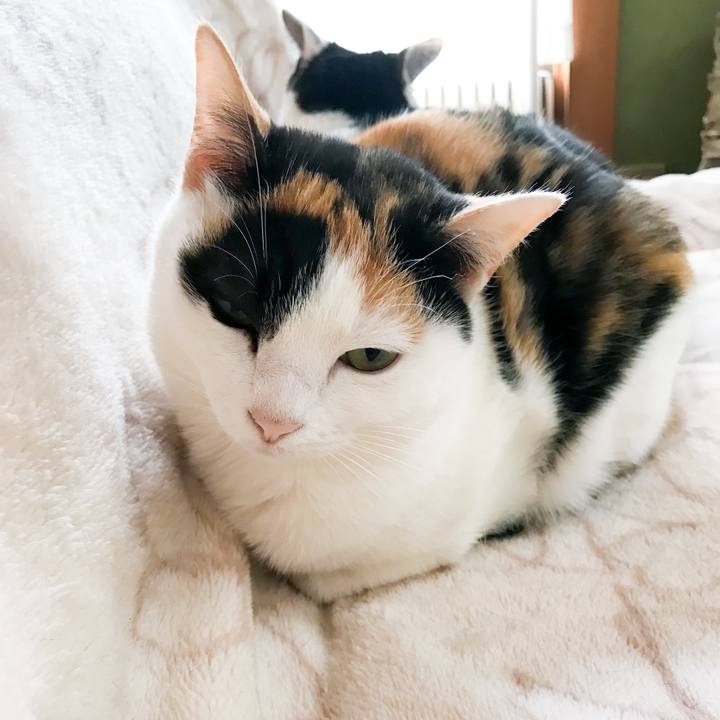 8dc60998 2994 444a a95f 1eeafd4c1e51 1519690977868