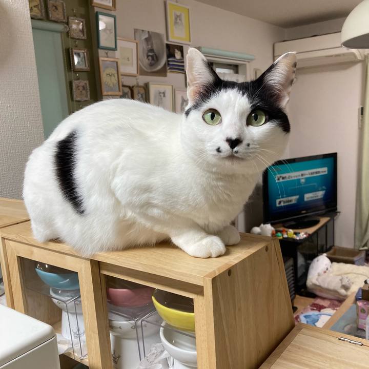 8dc666d1 702d 4c91 97dc 6a4e979fa2ea 1775250177497