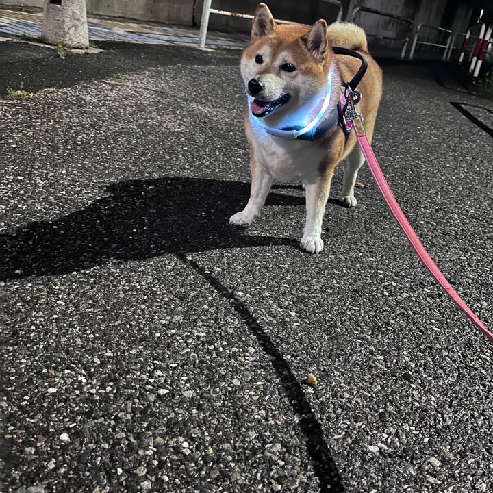 8dc676c2 1abe 4cc8 bc19 dbc7d1f8a301 1695288545567