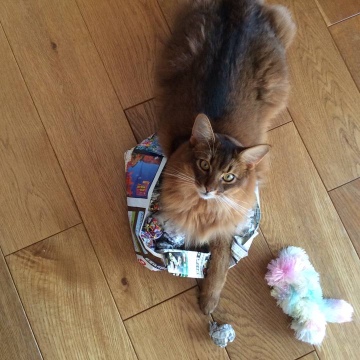 8dc6cf68 82b3 4188 85fa 08f825f6f327 1600151517274