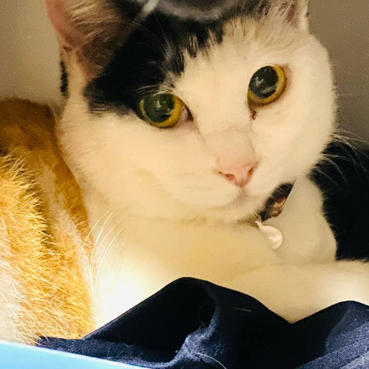 8dc70a9a 98ec 455f 9e7f c96c79cc4e53 1655563140960