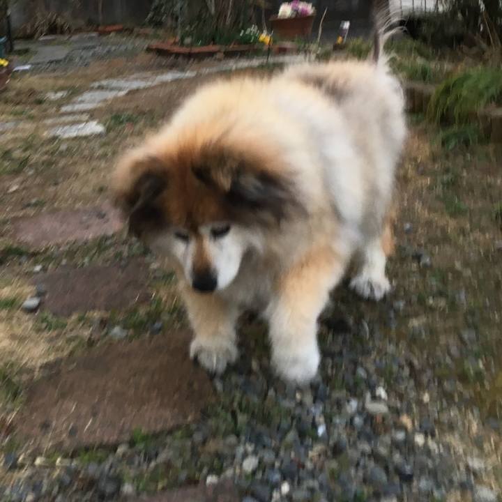 8dc71b14 b89e 434d 8e64 232cc5c7bf86 1573781876446