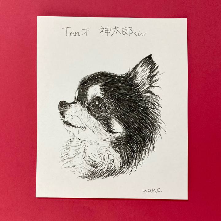 8dc72356 b0f8 48fd b6ff ba961ef00d91 1649210381045