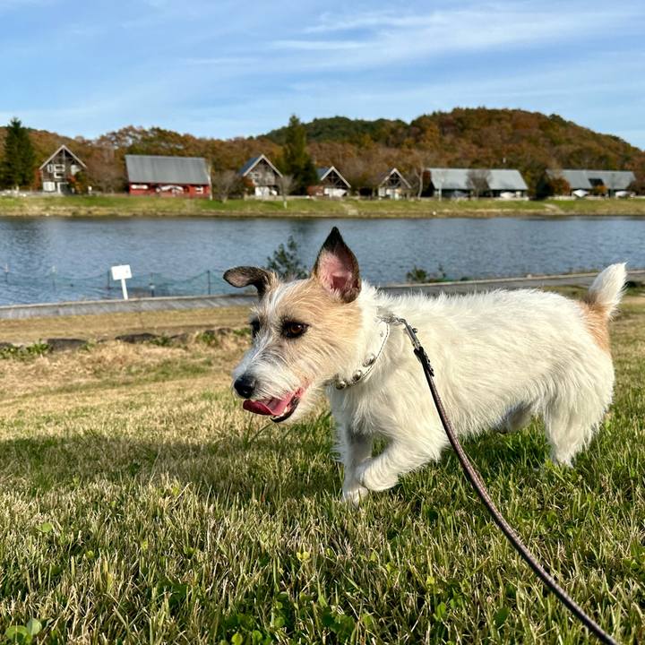 8dc748c8 770e 4c7c a0d7 f26046e5ed87 1730694830907