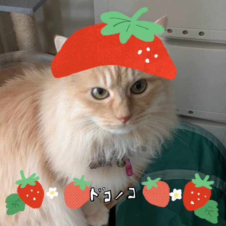 8dc75b10 50cc 4917 bb78 d3cc97df012a 1775183724173