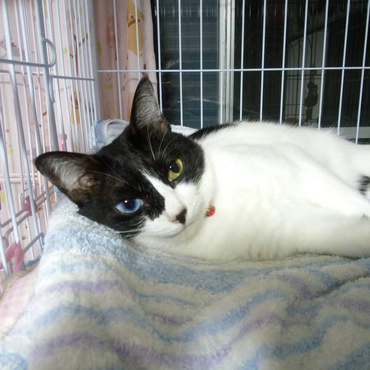 8dc7653b 0b34 4018 9c6f 4353d932299c 1536069238584