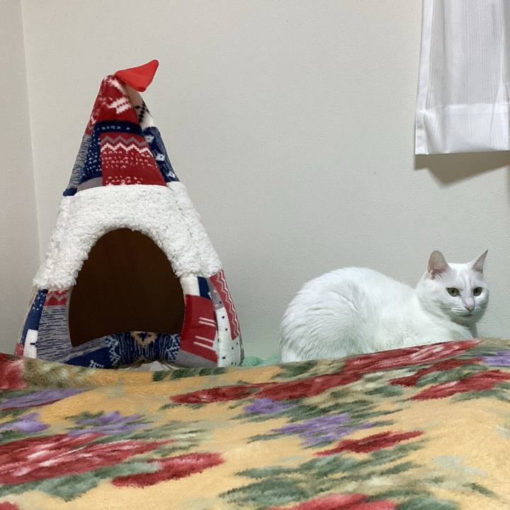 8dc76873 235a 4b99 a8c1 a718b89c2d69 1671666569454