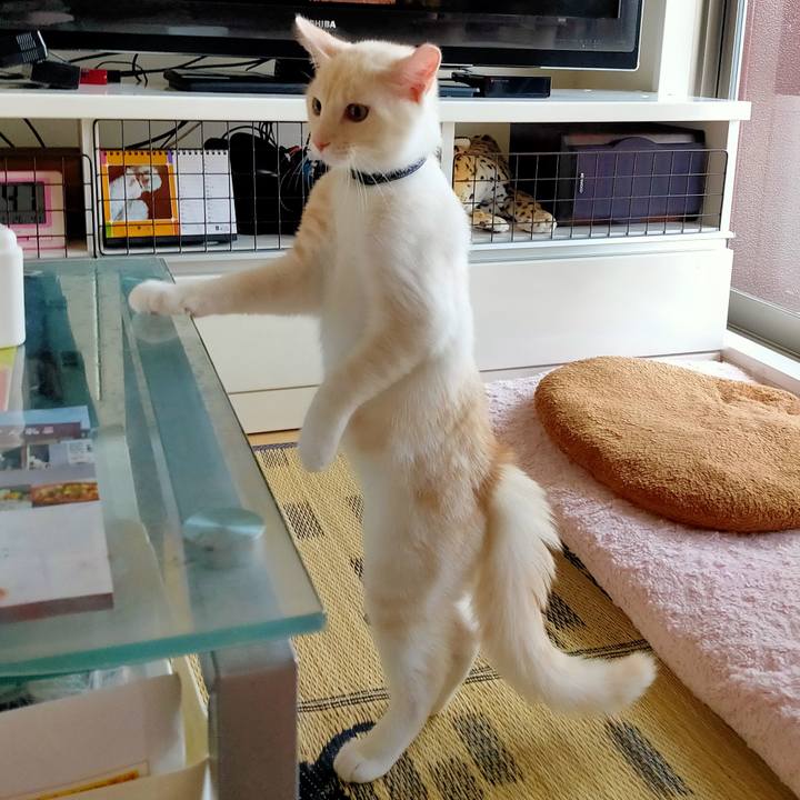 8dc7b04c 2592 4ccb a2e5 d12e658c67b7 1630134880774