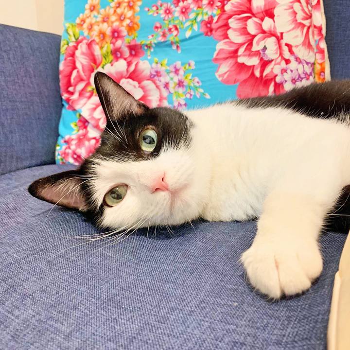 8dc7c85b 94f9 41d3 80cb 113e93c7c284 1571351998306