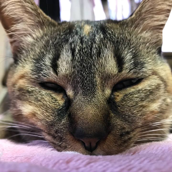 8dc7e0e0 1fd8 4f41 ba6d 45f7ba7a4474 1522798668881