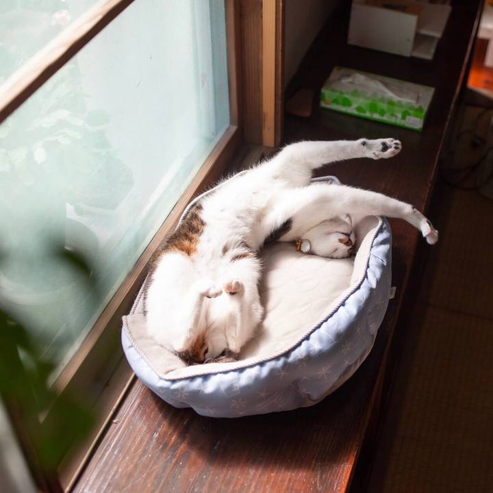 8dc7e754 5078 4580 b6a5 9060b69b0506 1591682002133