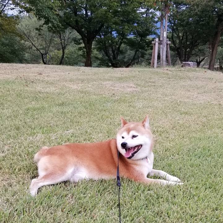 8dc7e9f1 3af5 46d3 87d2 6675ca3d03f9 1598777705092