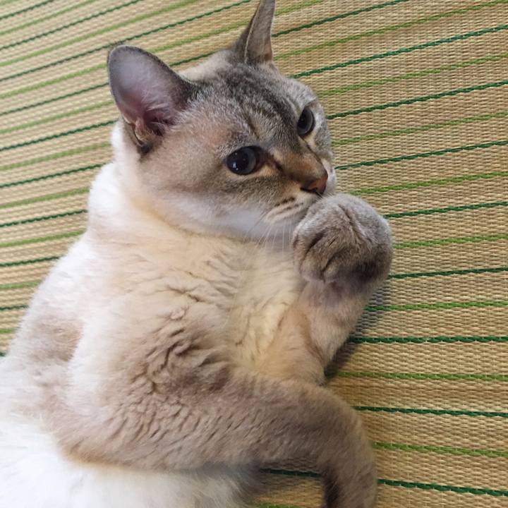 8dc7ec5f 1ab3 444a a72a bea0c4fe39b0 1533335573015