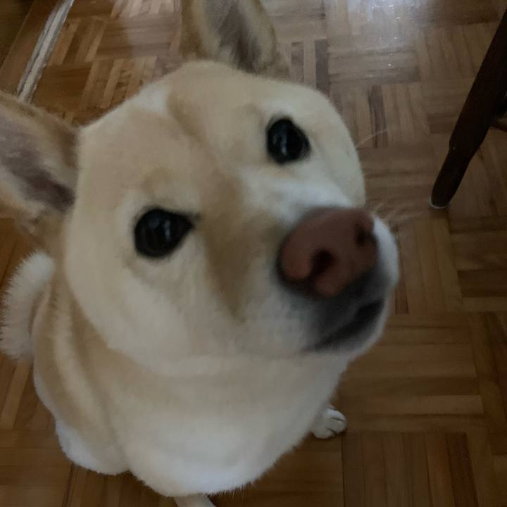 8dc803ad e818 4610 817f 478eef42ef2e 1650832761749