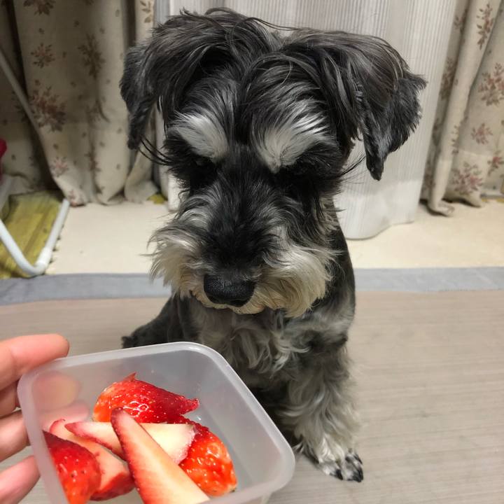 8dc8259d 24b1 478f bfbe c1e1b72a5fca 1652969079192