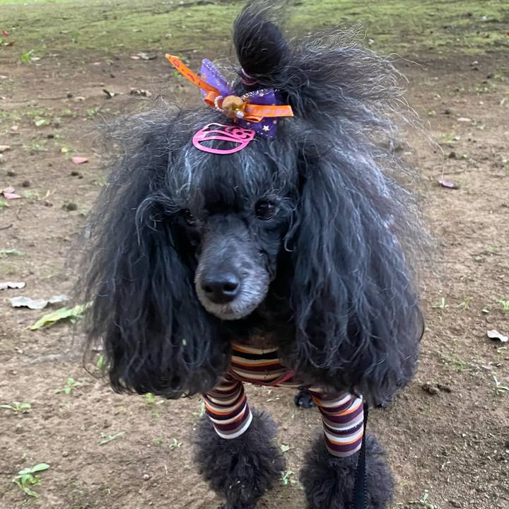 8dc83a6d d894 4e54 9ab7 653147e4cfb4 1698031247545