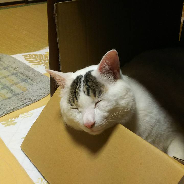 8dc8476d 7461 4fbe bd47 fdd4eda4356b 1530562090337