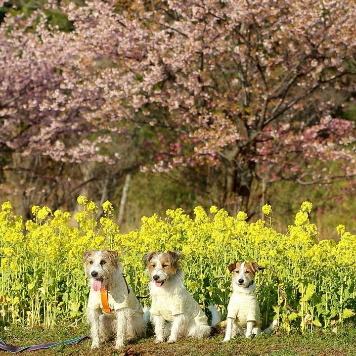 8dc85d64 933e 494f 8fe9 3bed8b2b37e8 1771805301038