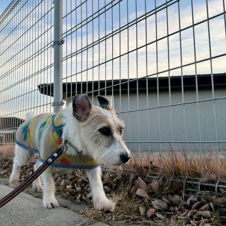 8dc86de7 02ab 48cd 926b 640410ffb8a7 1767175130784