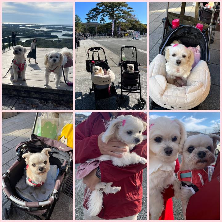 8dc89e23 e48f 4429 81ec 6049c3c94d4b 1699694450773