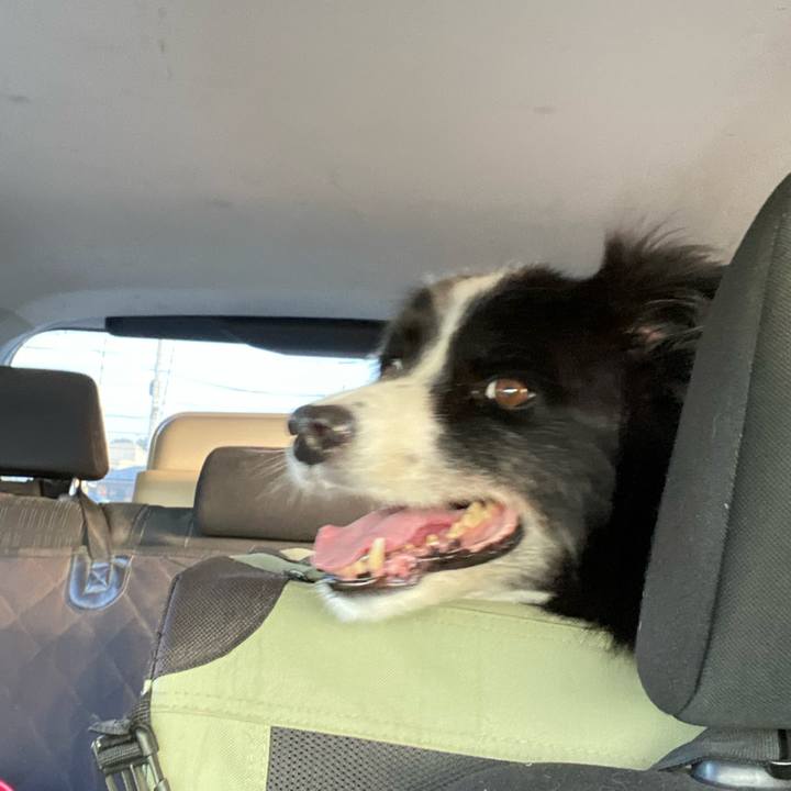 8dc8d991 0335 43c5 ae17 e43e1089cdf4 1693864900376