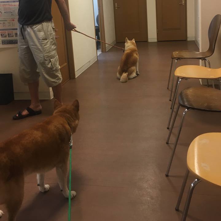 8dc9058b 4c3d 4fdb aee7 02f1365d3ae8 1535112682404