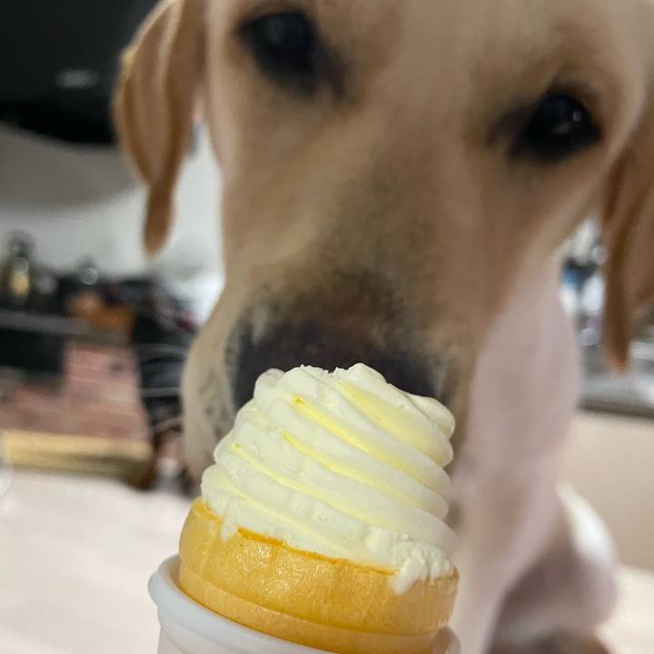 8dc920cb 69f5 4705 b32f 315d4ba3b74a 1654780621294