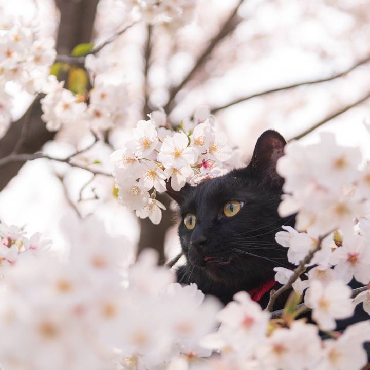 8dc922d6 abd3 4358 9846 466fa0a04bc7 1586694441322