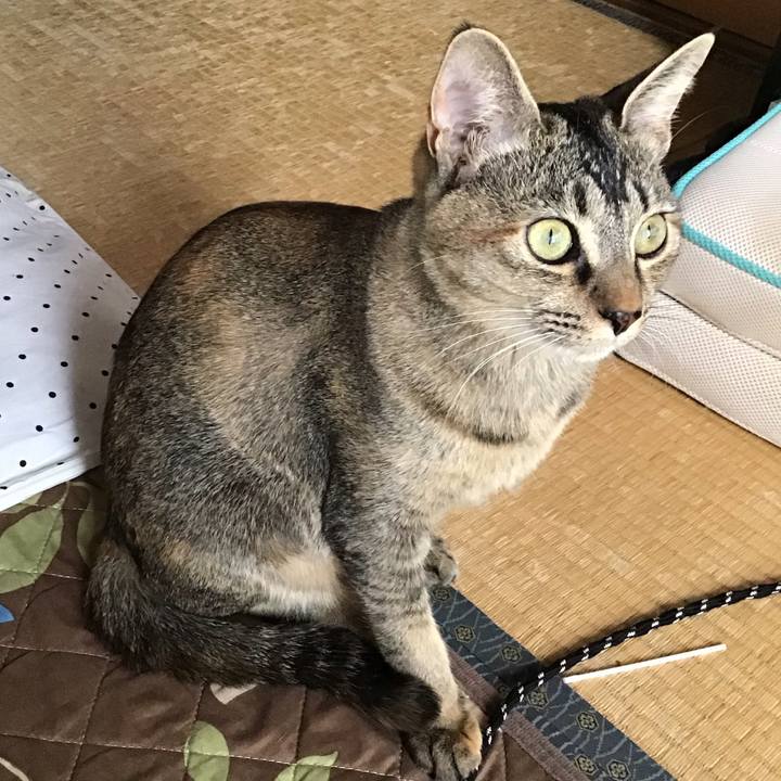 8dc93f9c 1614 4958 982d b50df8b02784 1576368659161