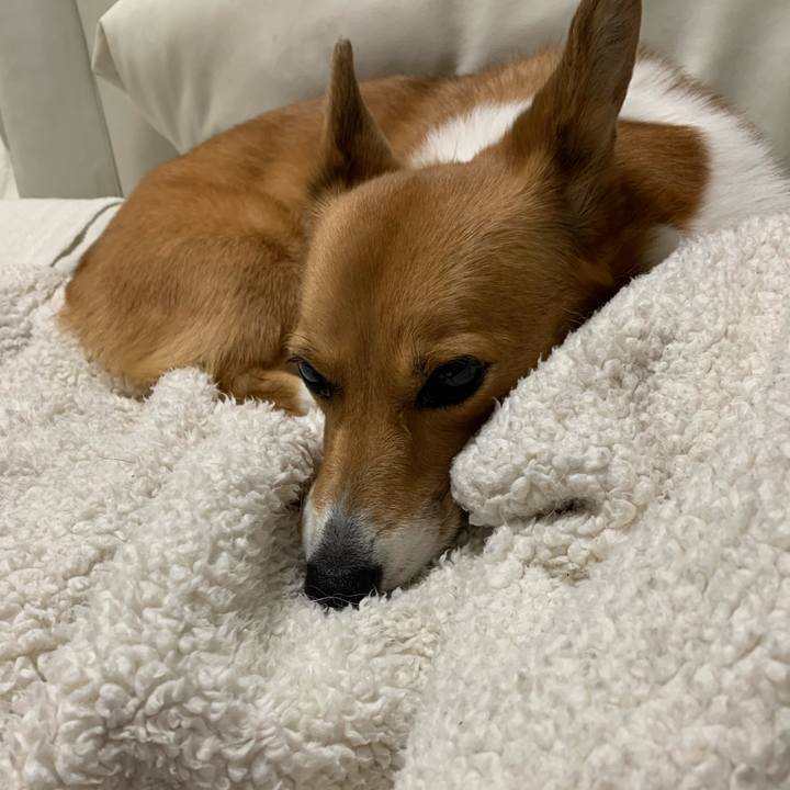 8dc94bc6 9b9a 4d49 94ef f6548d7ac225 1605264087673