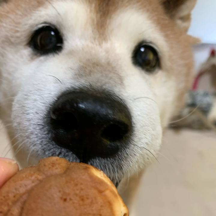 8dc94e4e 0c42 4968 b6ec 6e6235244922 1600479732025