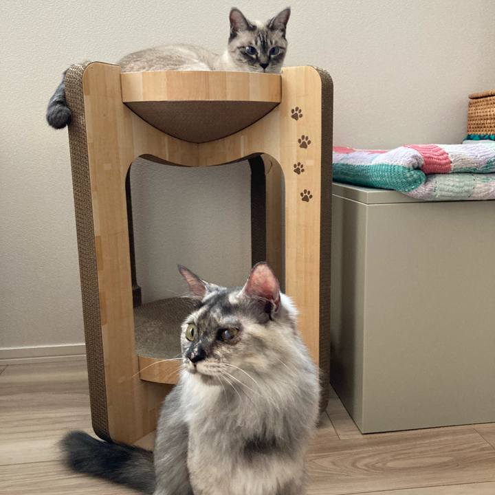 8dc98125 d23d 4cf3 92f8 fe64c3370d03 1720048982921