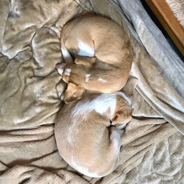 8dc98213 6429 48e4 ba94 ebbbd2dbbe1e 1548309099853