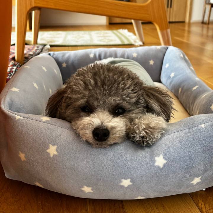 8dc99879 c6e9 4a70 851b c1d555ee6660 1763610949049