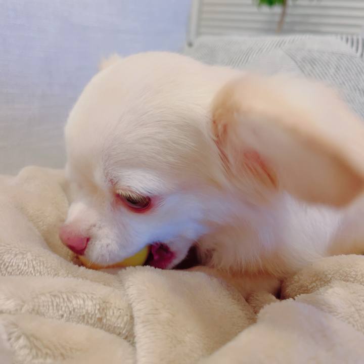 8dc9a172 f2eb 4d3b 8de6 93643f18086b 1692191294872