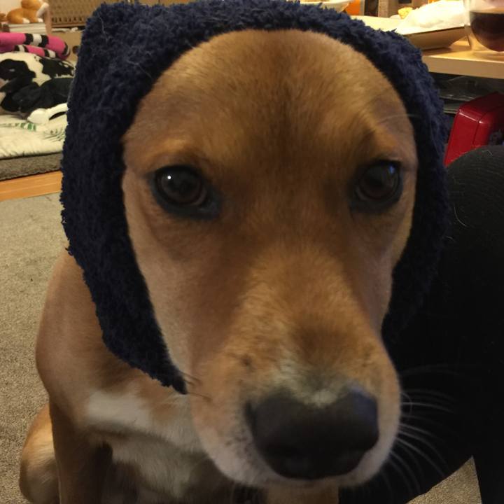 8dc9c794 78d1 4b09 98a6 e66cc90c8b96 1513691678310