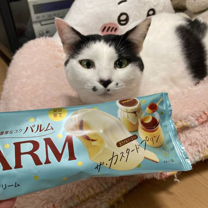 8dc9e846 5924 4cad 94e7 15d4e29f06ec 1761999118523