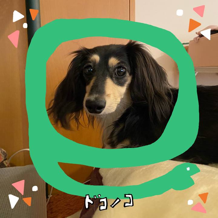 8dca0e5c 175f 4e2f 8833 93a82964db9b 1741194829442