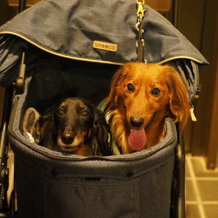 8dca1905 06d4 4368 94d4 f4f957f772f8 1751113184165