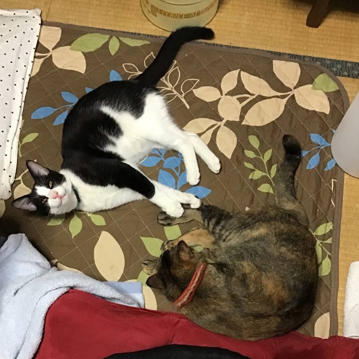 8dcab10e 487d 483e 8b64 4bcc82a10d77 1634028658415