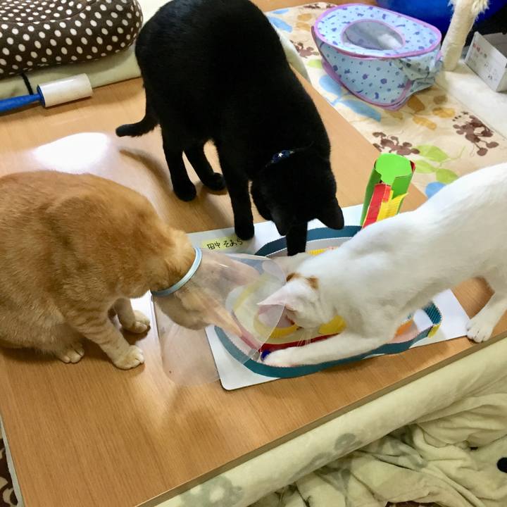 8dcab704 9862 4fa2 acc5 2245089783ee 1508672464766