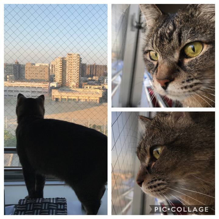 8dcad2fc ceb0 4552 a5a2 a5161a1ff254 1557290397513