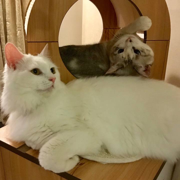 8dcaef19 019f 4566 8a53 0228da27ead0 1537963105704