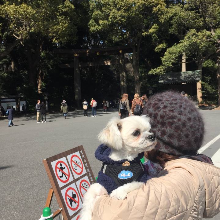 8dcaf763 6601 4bc6 b094 d11e105115cf 1520066836851