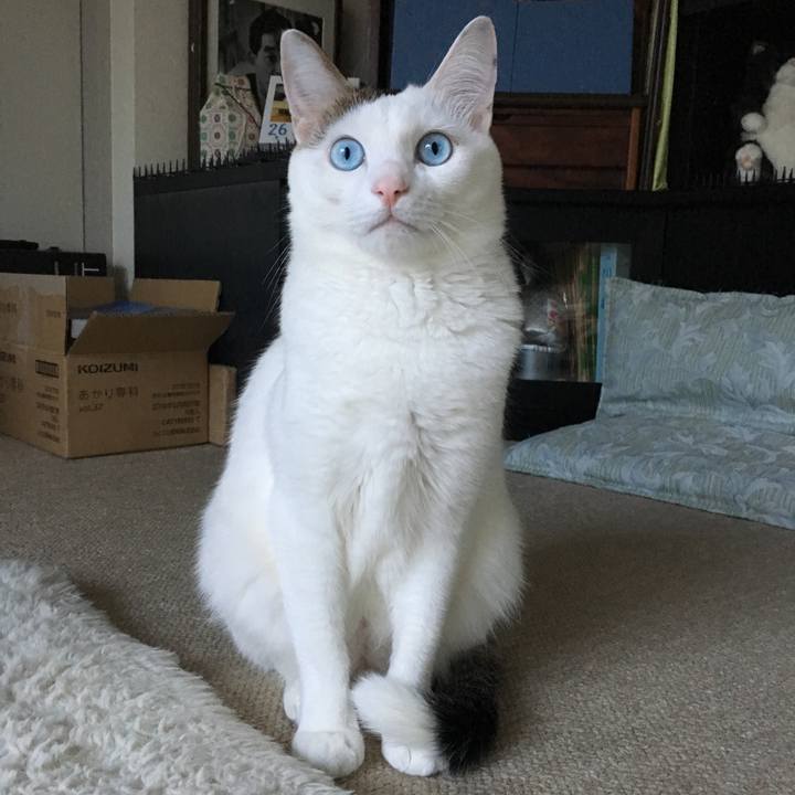 8dcb101b 7ddb 4b12 8859 13c585f3c208 1550106544653